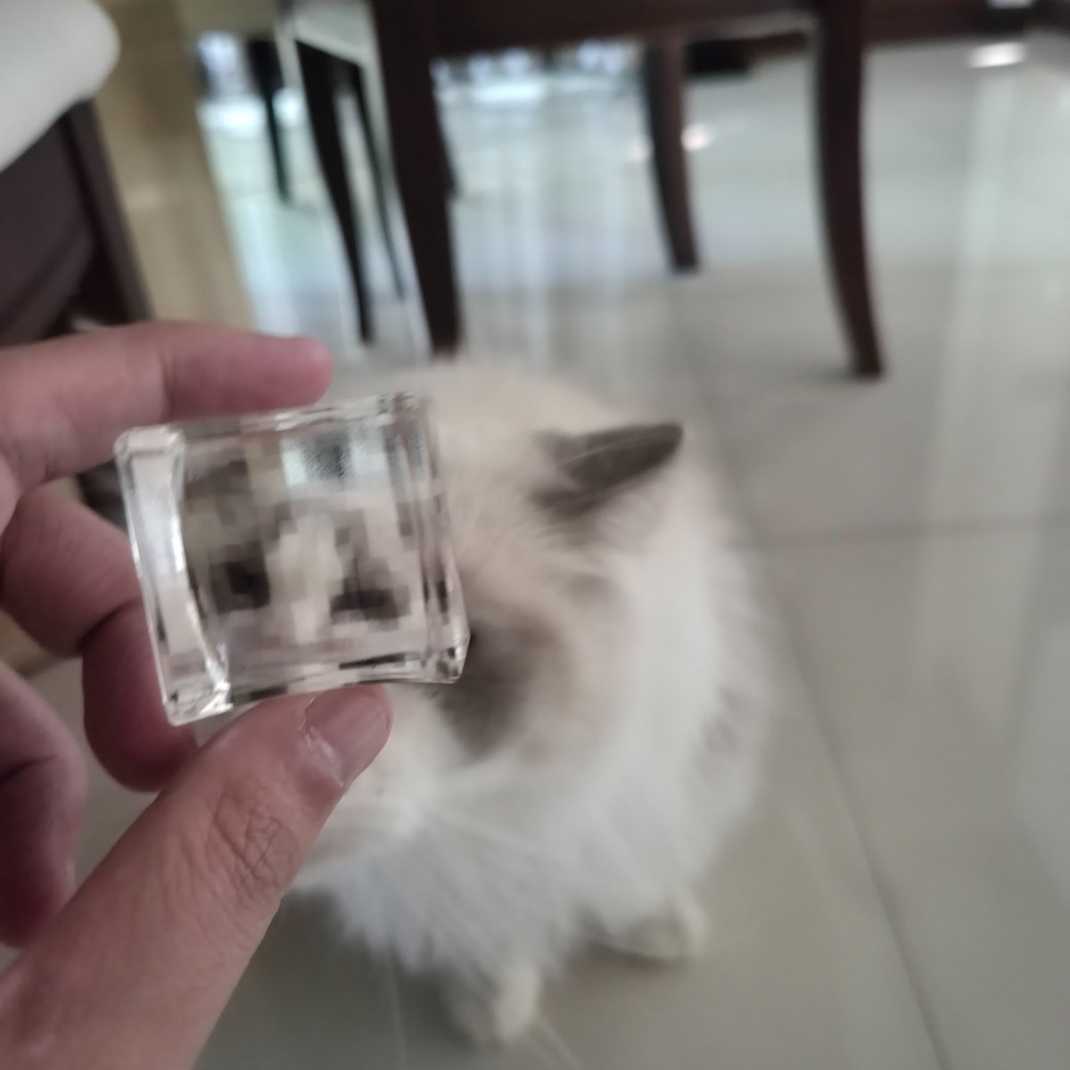 napixelz's tweet photo. pixeluxe sent me this cube that does really cool stuff
#pixelcrystal #pixeluxe https://t.co/1XxxKjsHnA