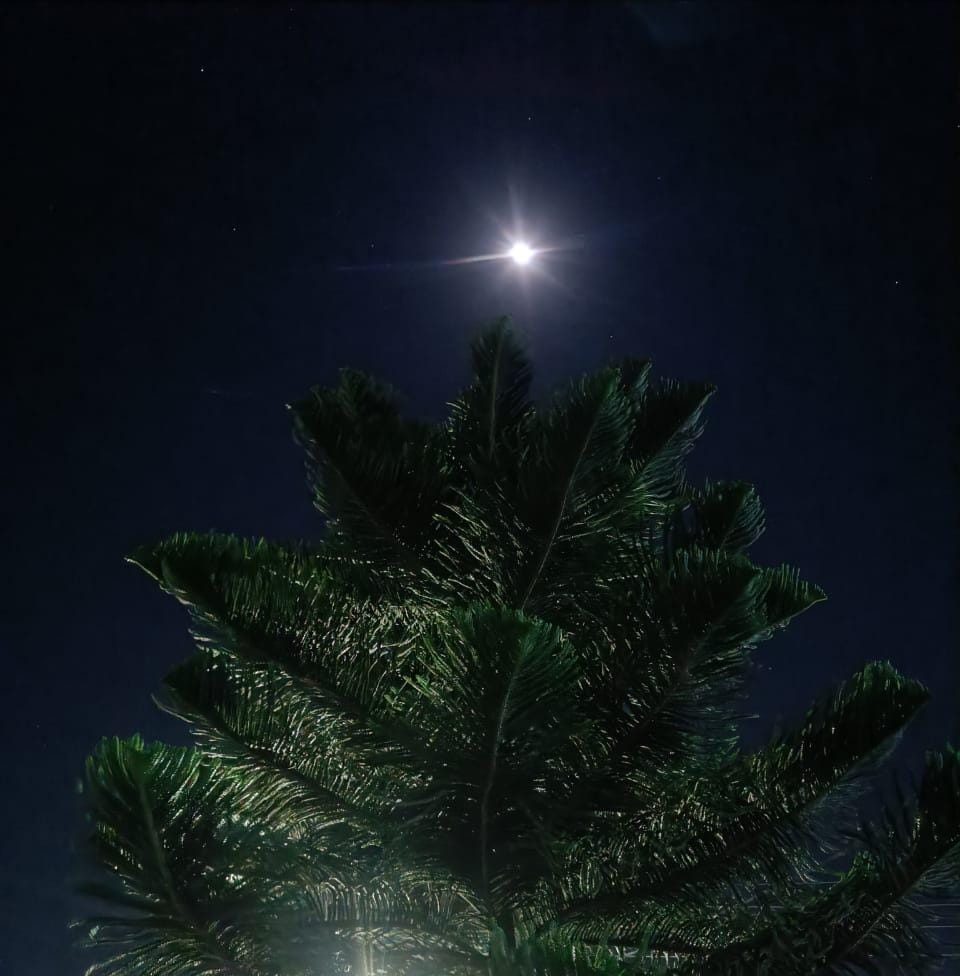 Truthvibeswrite's tweet image. She is my soul lens
Waterfall of wishes
where Swinging stars sing
#perhaps i may not've loved life
Through and Through
Had we not met
#cherita
#poetrycommunity
#Micropoetry
#WritingCommunity
#poetrychallenge
#vss365
#FoxProse
#fairytalepoets