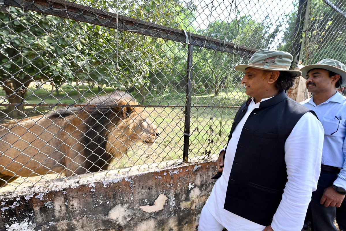 yadavakhilesh's tweet image. पर्यावरण का संतुलन मानव-वन्यजीव के संबंधों के बीच भी संतुलन स्थापित करता है और आसपास के लोगों के लिए जीवनयापन के आर्थिक साधन भी। इटावा लायन सफ़ारी समाजवादियों की इसी बड़ी सोच का जीता जागता उदाहरण है। यहाँ आना हमेशा एक सुखद अनुभव होता है।

इटावा लायन सफ़ारी की देखरेख में ईमानदारी…