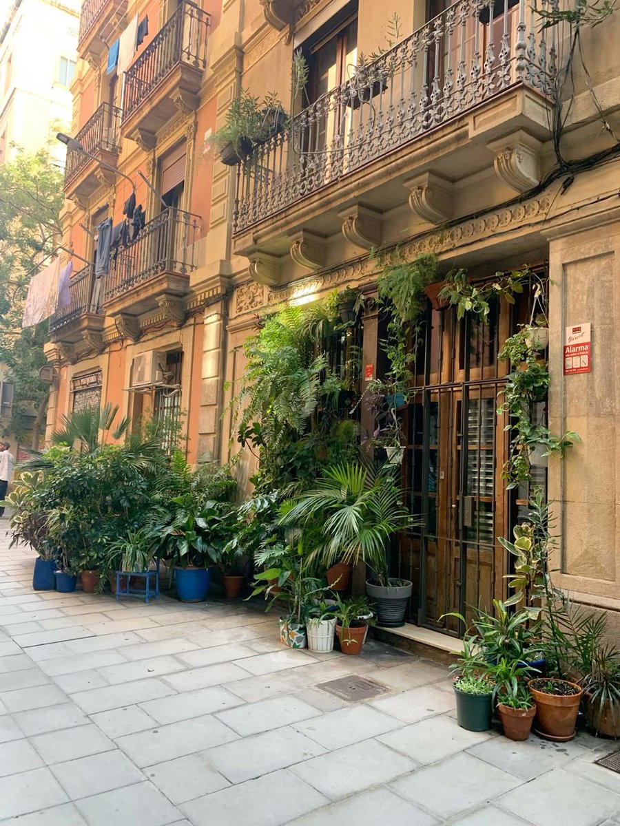 We need more plants in urban spaces