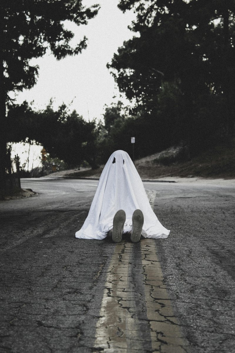 lynn ward tweet media