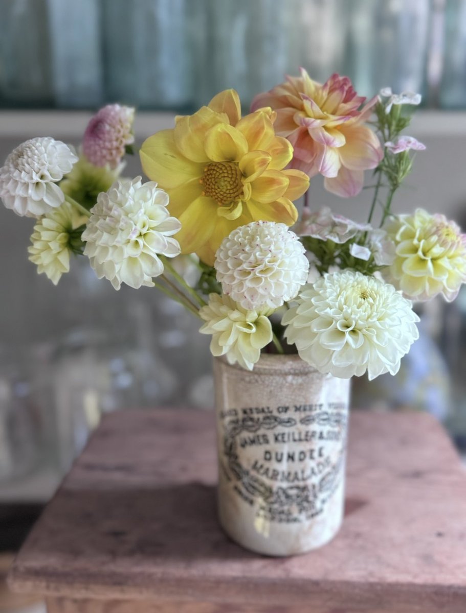 As I just mentioned it’s been a rather long day, so I’ll clock off now with another dahlia faff 😂💐
I hope you’ve had a lovely weekend. I’ll see you tomorrow. Z xx