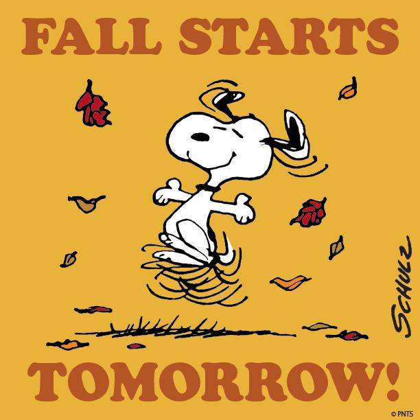 Shelly Happy Jax (@shellyhappyjax) on Twitter photo 