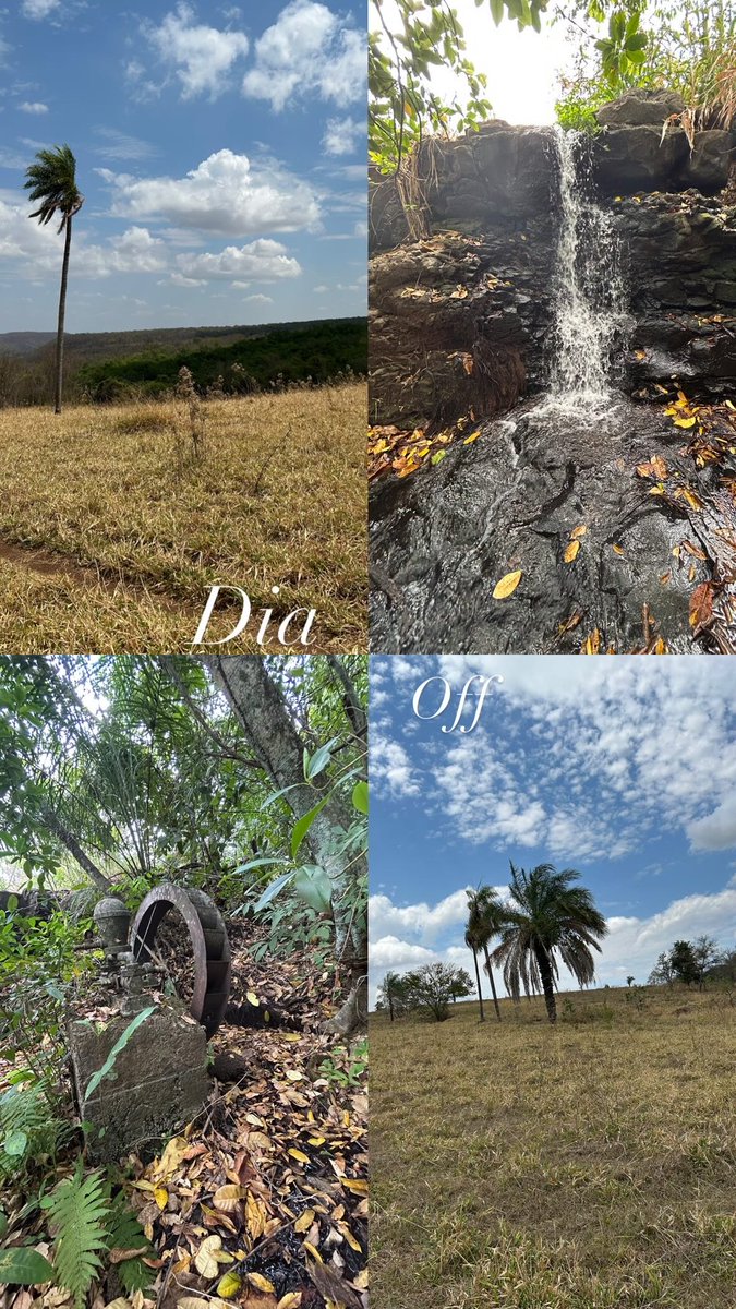 Heybart_'s tweet image. Dia off