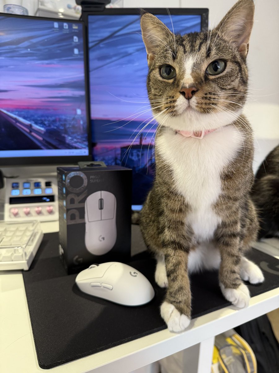 millywxo's tweet image. 💫 Logitech Pro X Superlight 2 Giveaway!

Celebrate LogitechG Play Days w/ me + Denji 🙌

Enter:
•Follow @millywxo + @LogitechG
•Like + RT
•Tag a friend

✨ Bonus: follow IG → instagram.com/millywxo

Ends 29th Sept | UK/IRE only 

Tysm @LogitechG ❤️
#logitechgplaydays