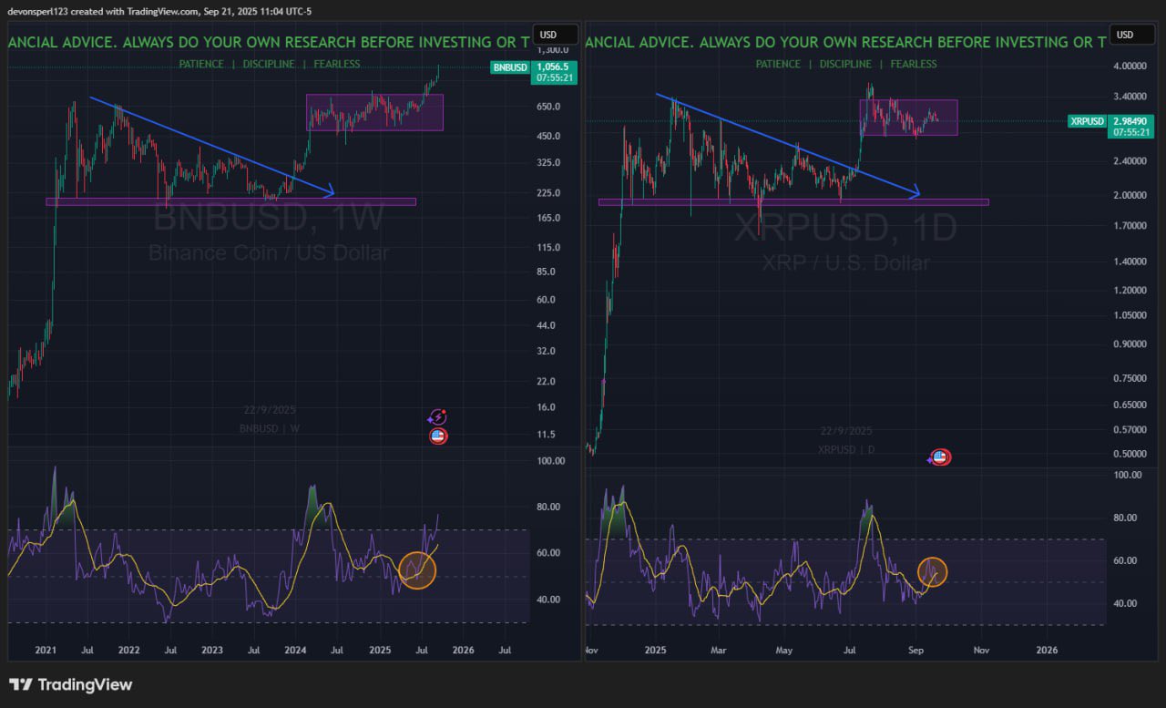 BNB 1W Chart and XRP 1D Chart Charting Guy