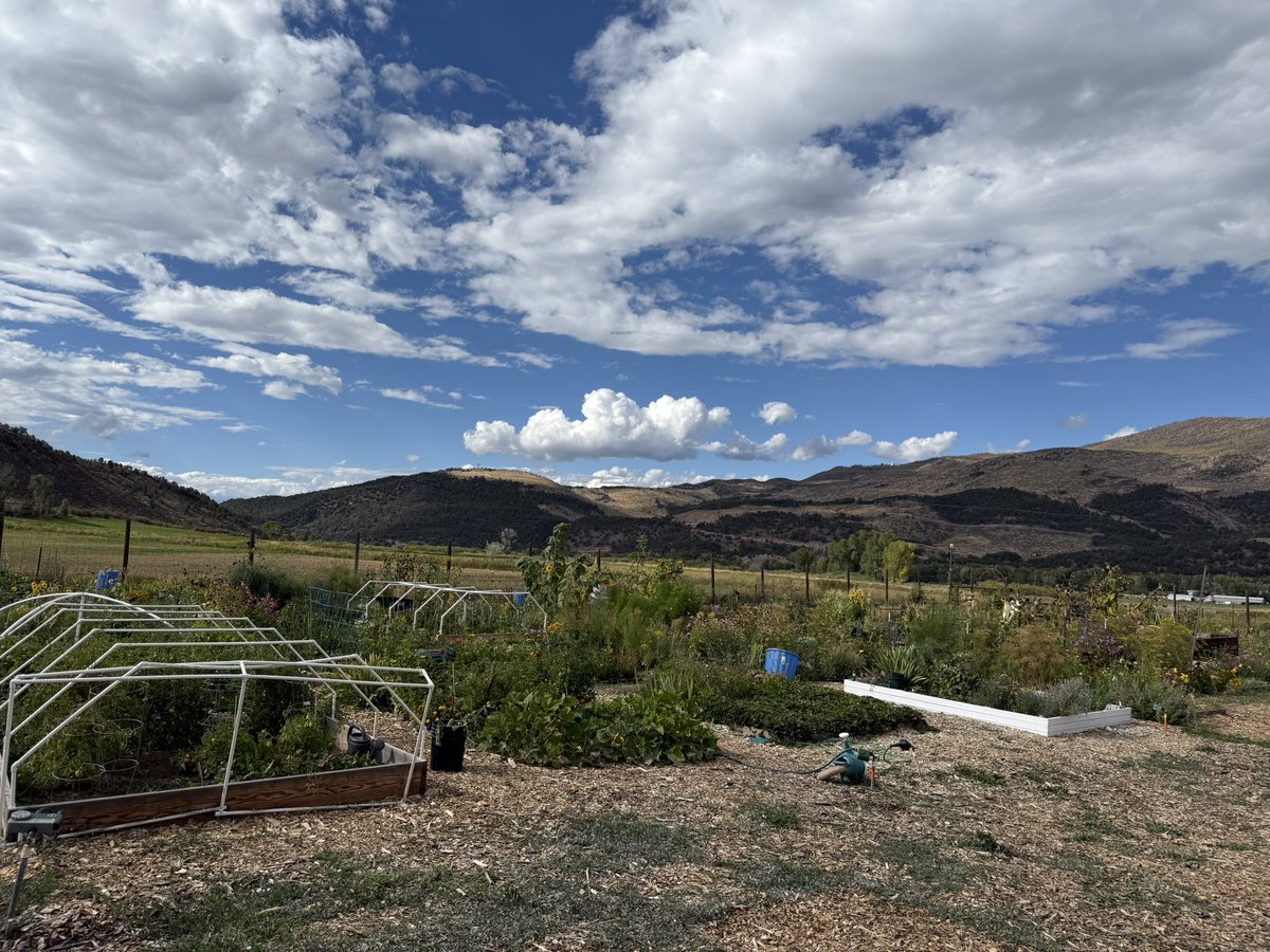 Happy Sunday! Touching dirt instead of grass at the community garden today