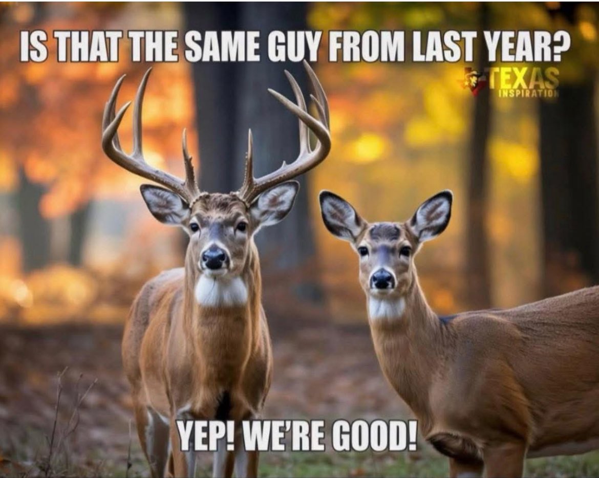 They know im drinking beer and listening to <a href="/finebaum/">Paul Finebaum</a>  😂😂😂😎🐝❤️🏈🍺🥩