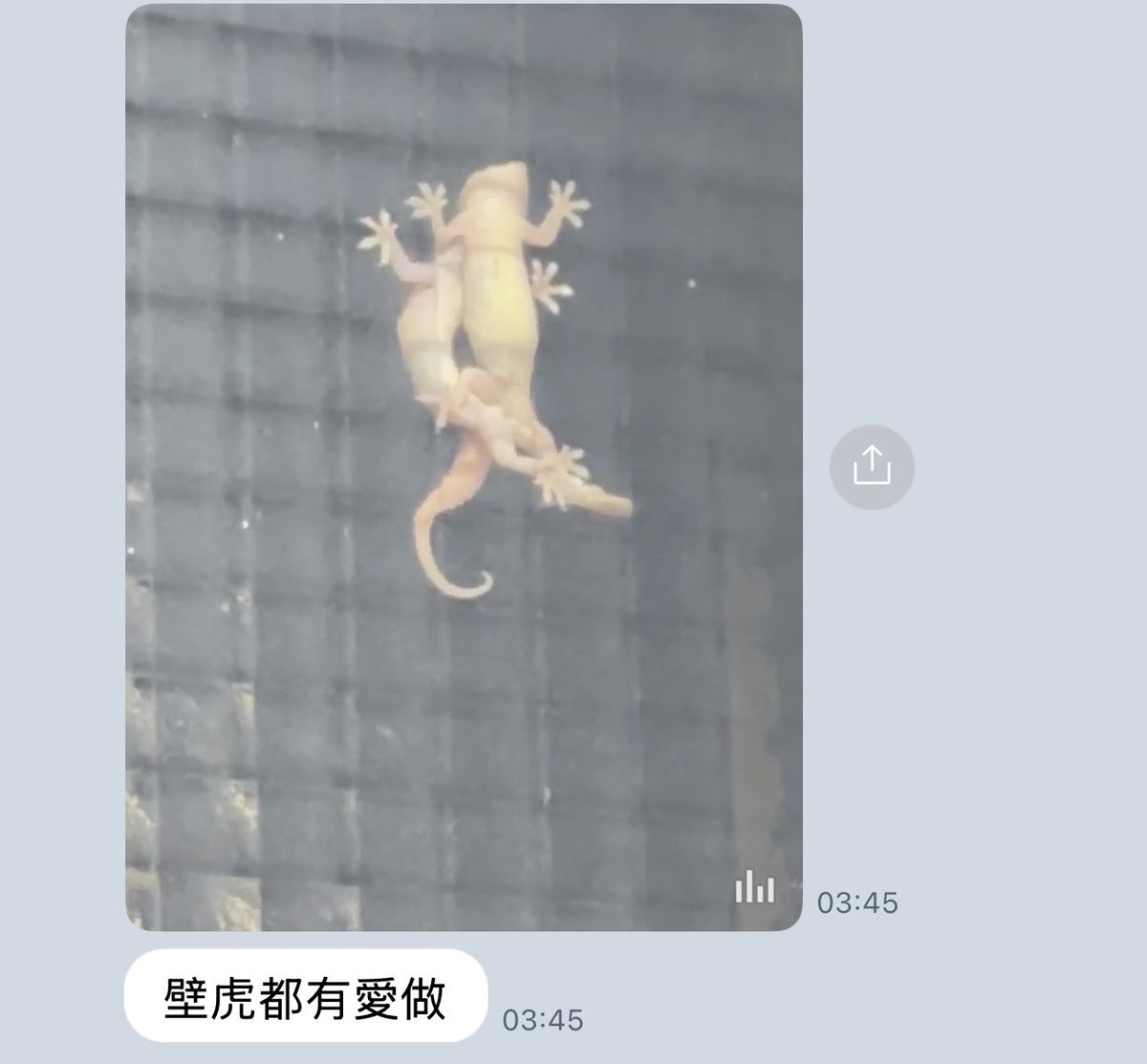 請問這是在告訴我
壁虎打的砲比我還多嗎？
我連壁虎都打不過嗎？🙀