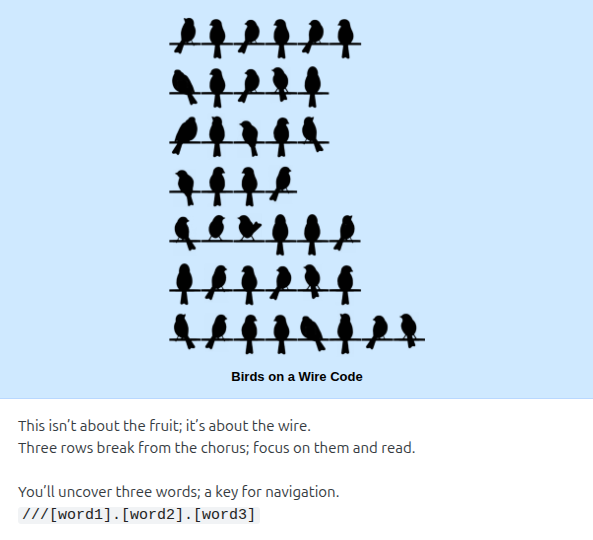 AncapPunk tweet media