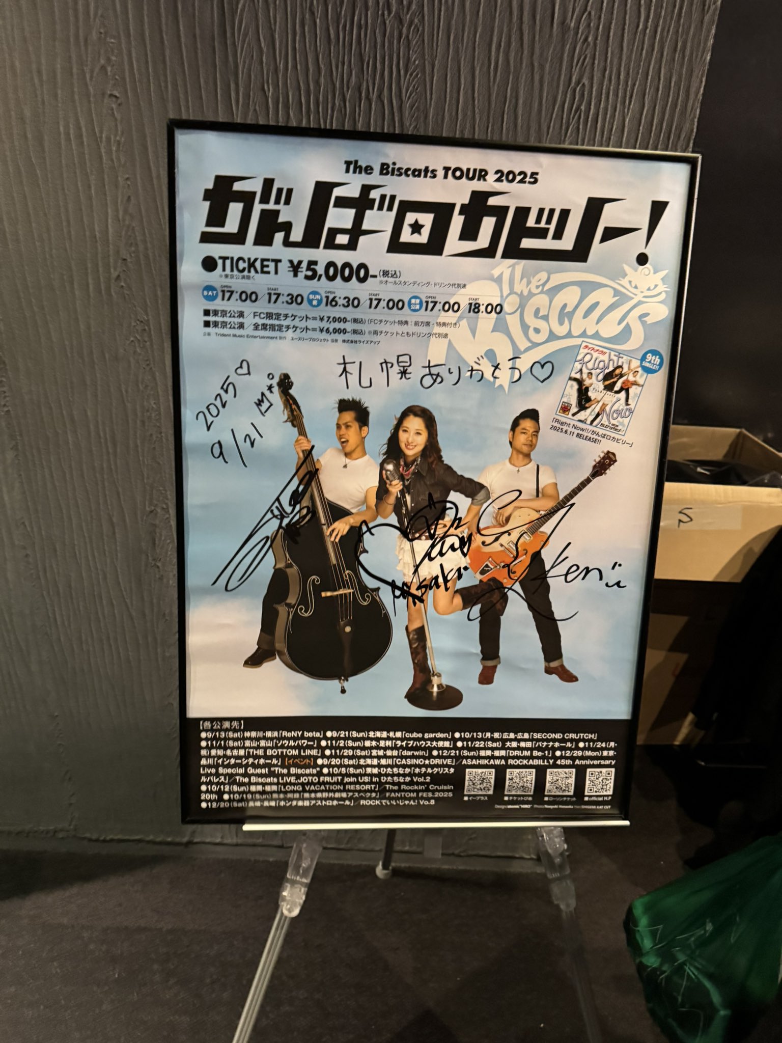 The Biscats 2023年ツアー　非売品 B2 ポスター The Biscats 2023年ツアー 非売品 B2 ポスター - メルカリ
