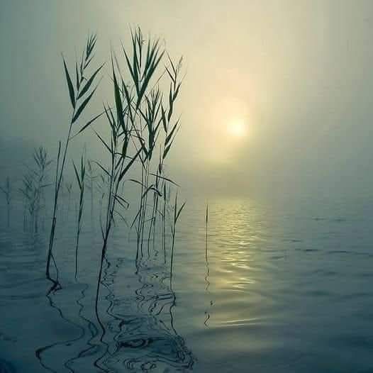 “Life starts all over again when it gets crisp in the fall.”

— F. Scott Fitzgerald