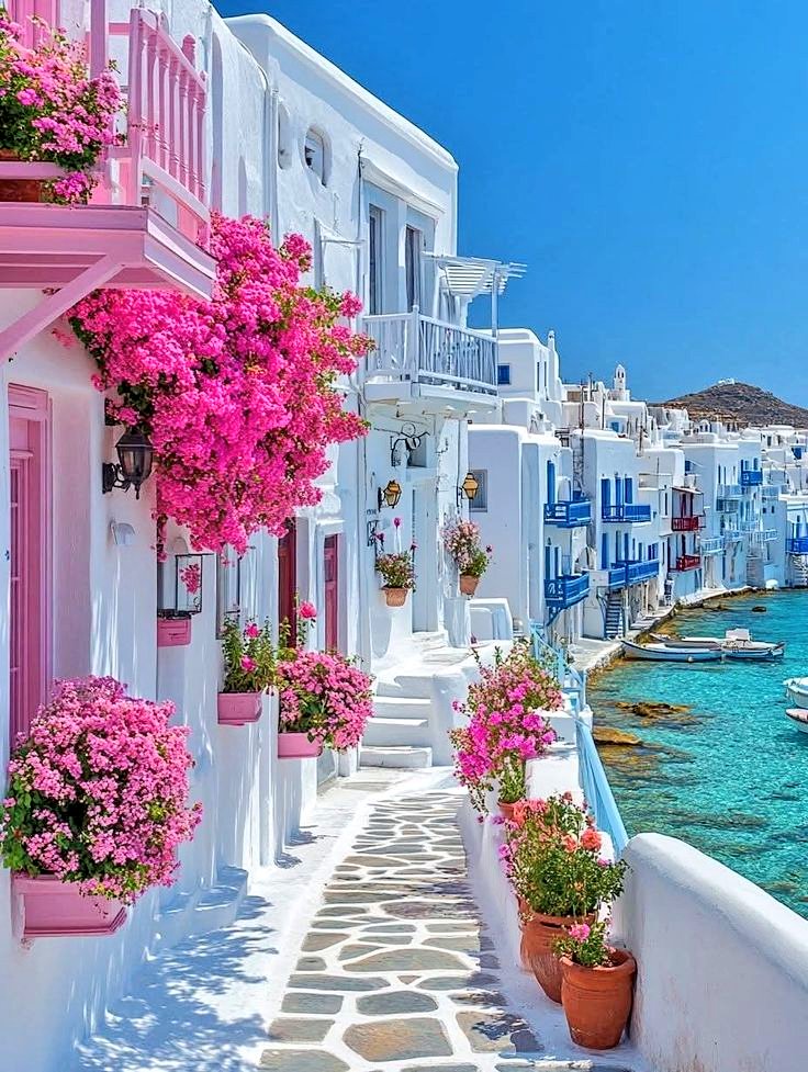 Flowers and Gardens 💐🌹🌺🌷🌸 (@beauty_lovers11) on Twitter photo 