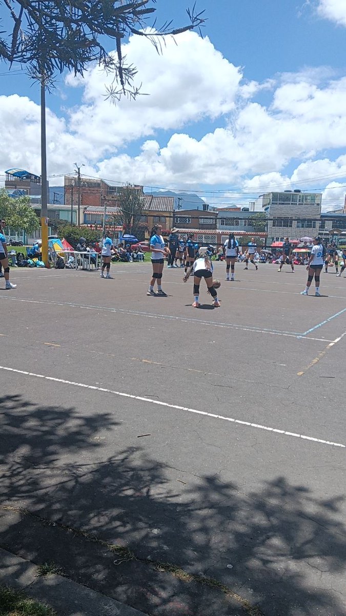 Nelson Fernando Villamil Russy tweet media