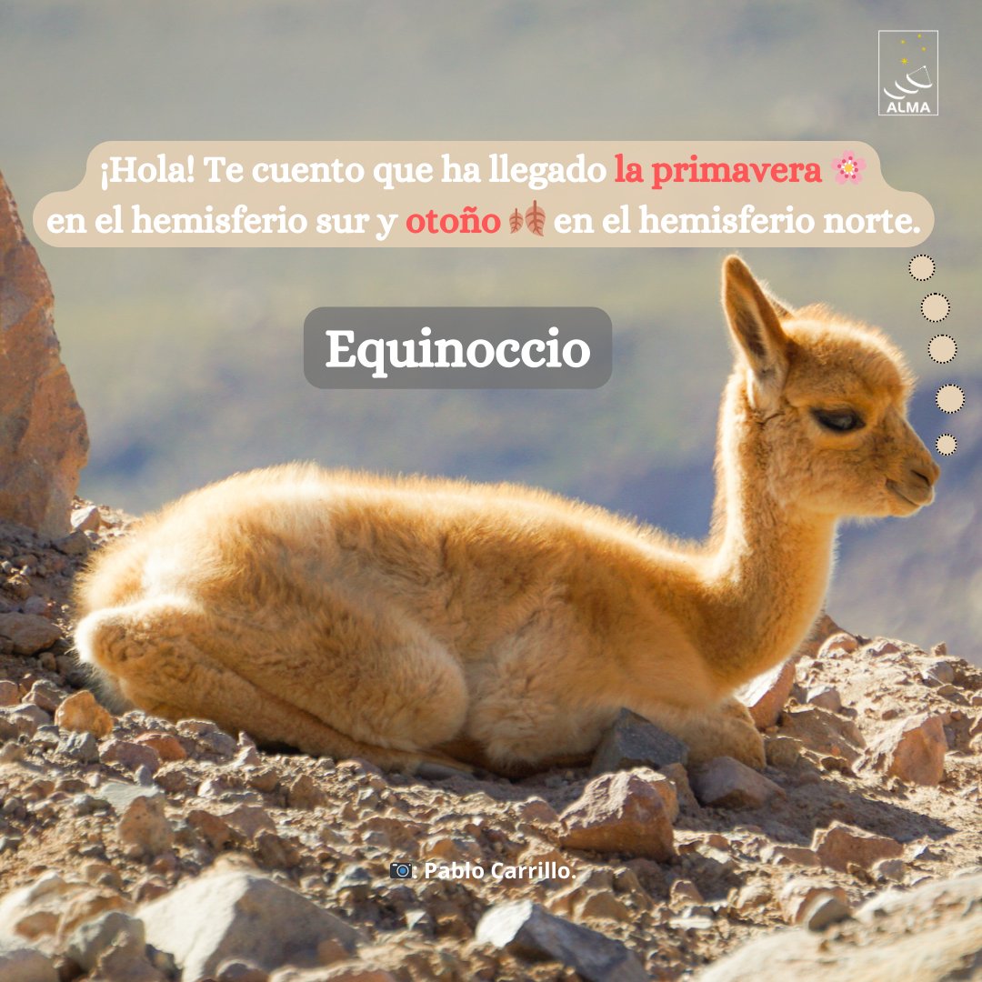💥21 Septiembre
Día Mundial del #Equinoccio: ha comenzado el «equinoccio de primavera» (en el hemisferio sur) y «equinoccio de otoño» (en el hemisferio norte)🍂
En nuestro país, solo tenemos 2 estaciones (invierno y verano) y no cuatro(invierno, verano, primavera y otoño)