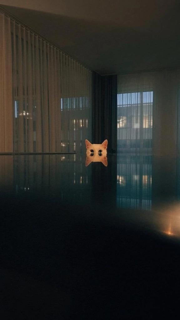 Я над будущим тайно колдую,
Если вечер совсем голубой,
И предчувствую встречу вторую,
Неизбежную встречу с тобой.

Анна Ахматова