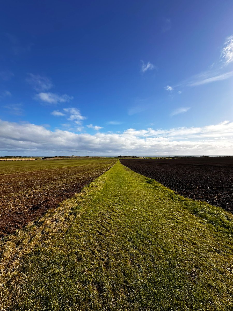 Cathryn 🇺🇦 tweet media