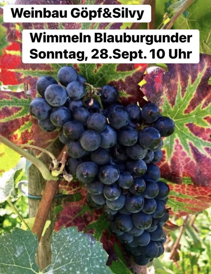 GoepfB's tweet image. 