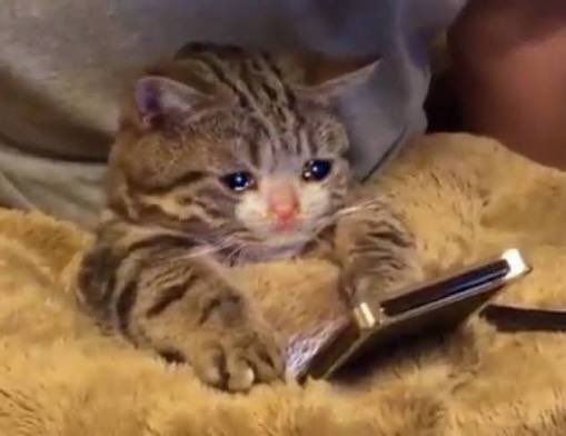 Dear diary:

Manta’s cooking. A LOT. 👨‍🍳

The whole team’s tweeting like something huge is coming, but no one knows what.

It’s like watching the most mind-blowing movie before release, no spoilers, no trailer, and you can’t even say what it’s about.

Not the best feeling tbh.
