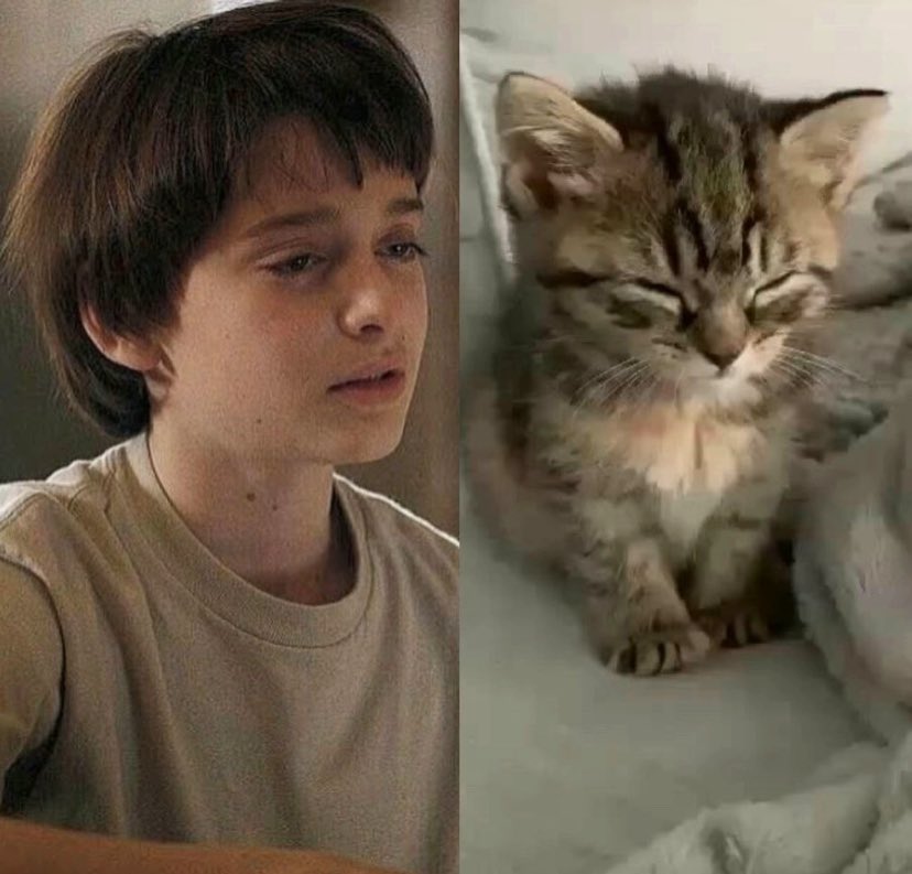 💭 (@dailywillbyers) on Twitter photo 