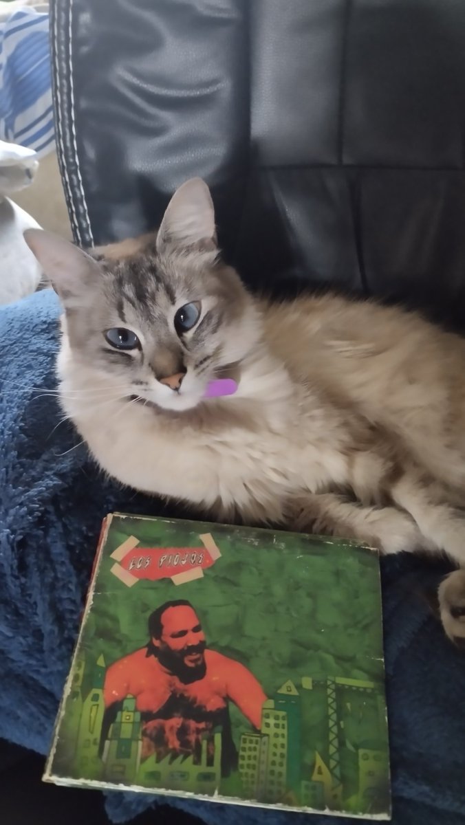 milloswiftie's tweet image. 