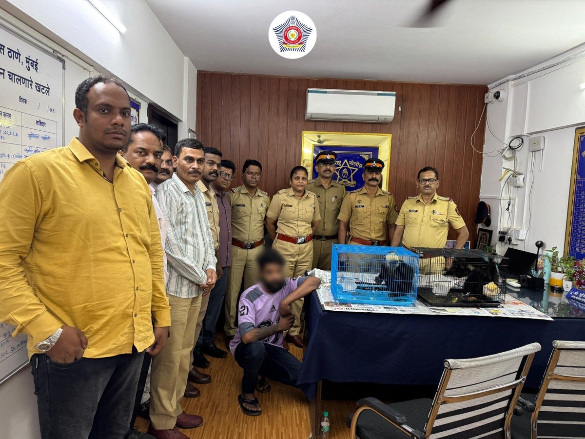 .<a href="/Sakinaka_PS/">साकीनाका पोलीस ठाणे - Sakinaka PS Mumbai</a> successfully foiled an attempt to illegally smuggle two rare gibbon chicks.

Acting on a tip-off, the team laid a trap and recovered the chicks from the accused. Both the accused and the rescued animals have been handed over to the Forest Range Officer, Thane, for