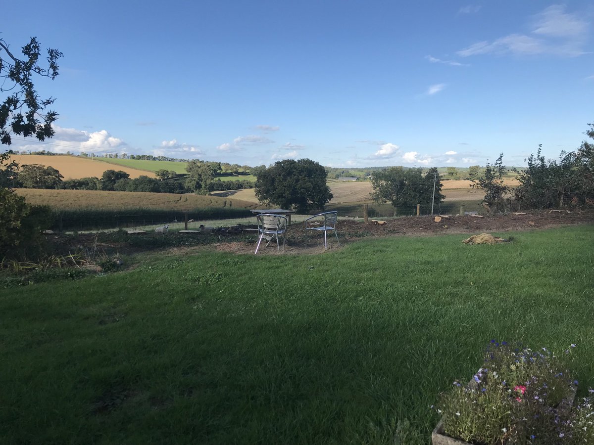 andy shiner tweet media