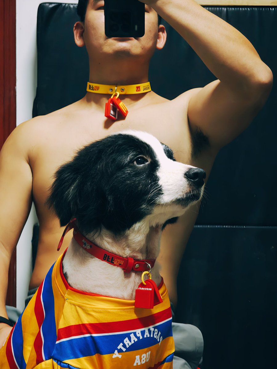 人胖了全靠狗子挡赘肉。
#麦当劳是懂亲子装的