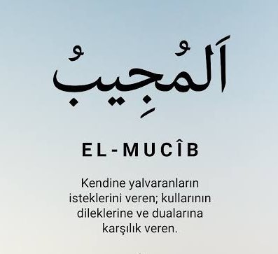 Ayşe Hatun tweet media