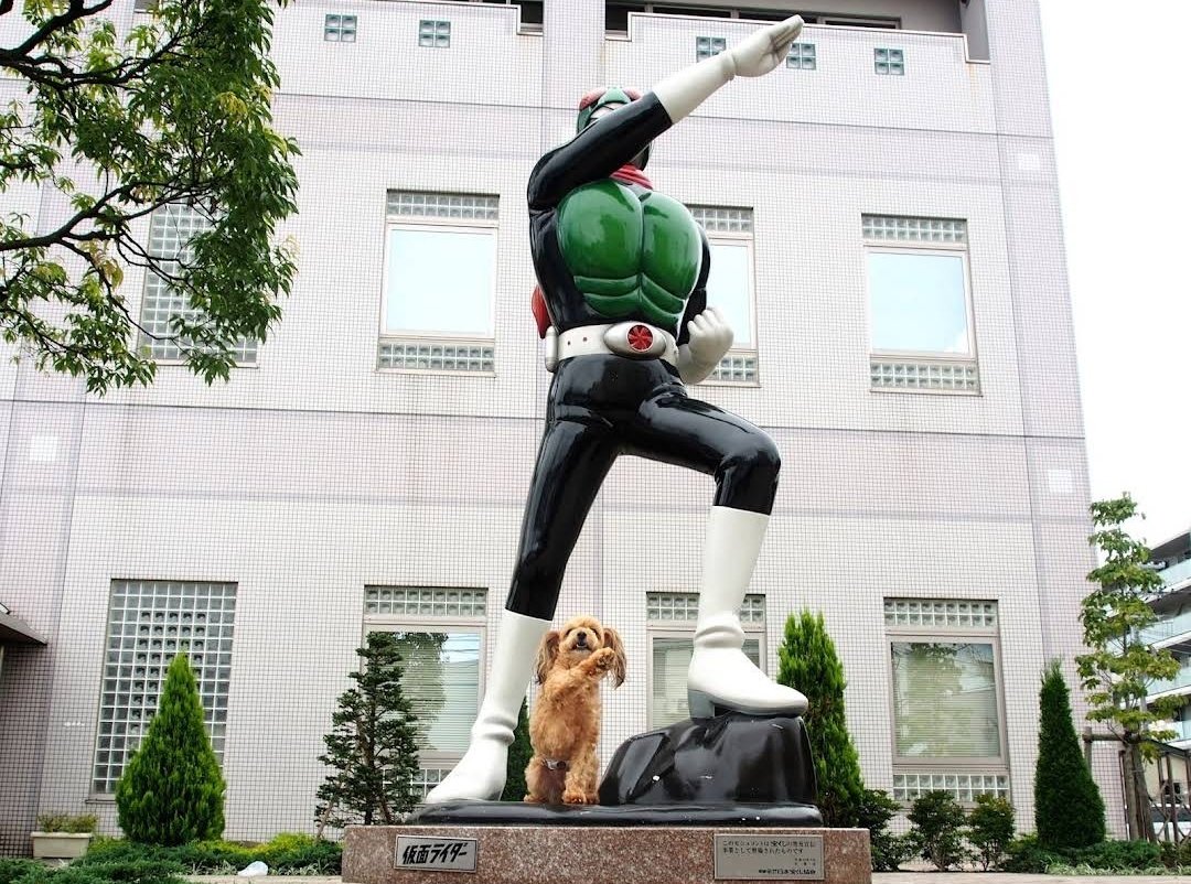 maps.app.goo.gl/4mSB9aZX2pDm8S…