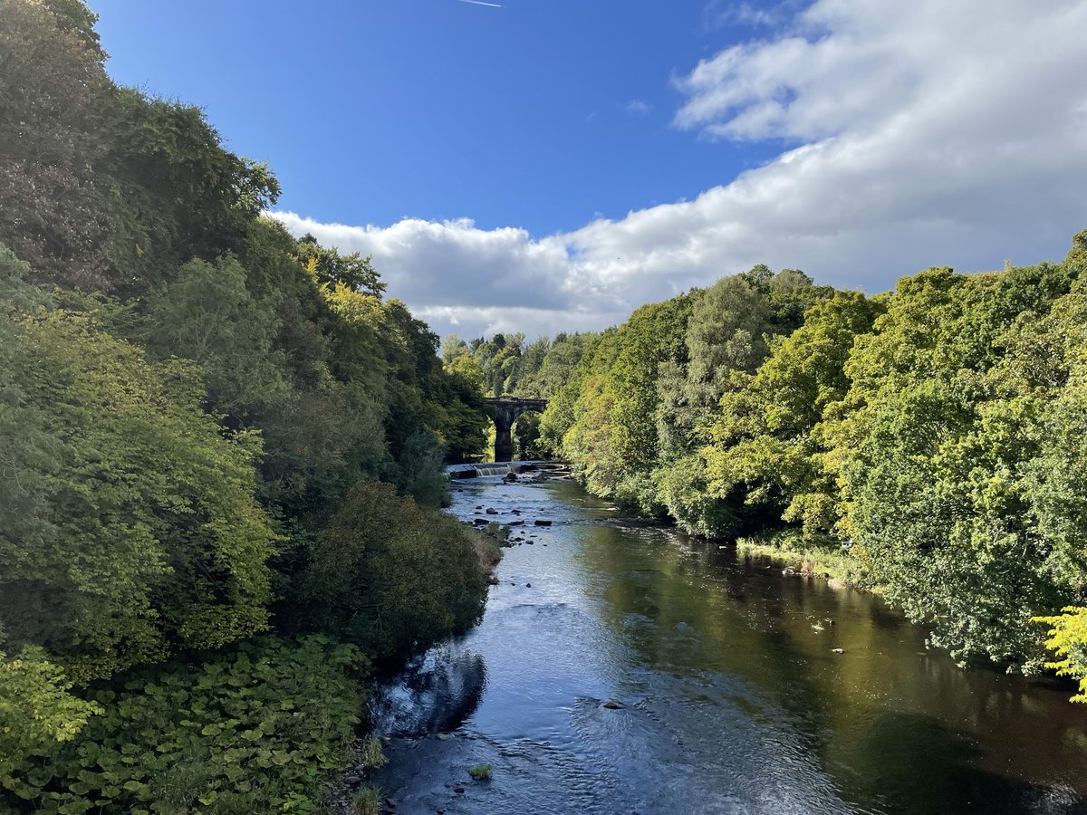 i_love_patterns's tweet image. today I walked 19.66 km and had a bacon steak burger on what could be described as the most summery autumn day, or maybe the most autumny summer day