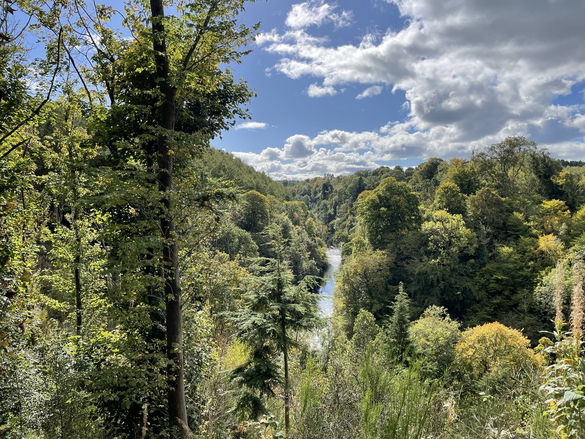 i_love_patterns's tweet image. today I walked 19.66 km and had a bacon steak burger on what could be described as the most summery autumn day, or maybe the most autumny summer day