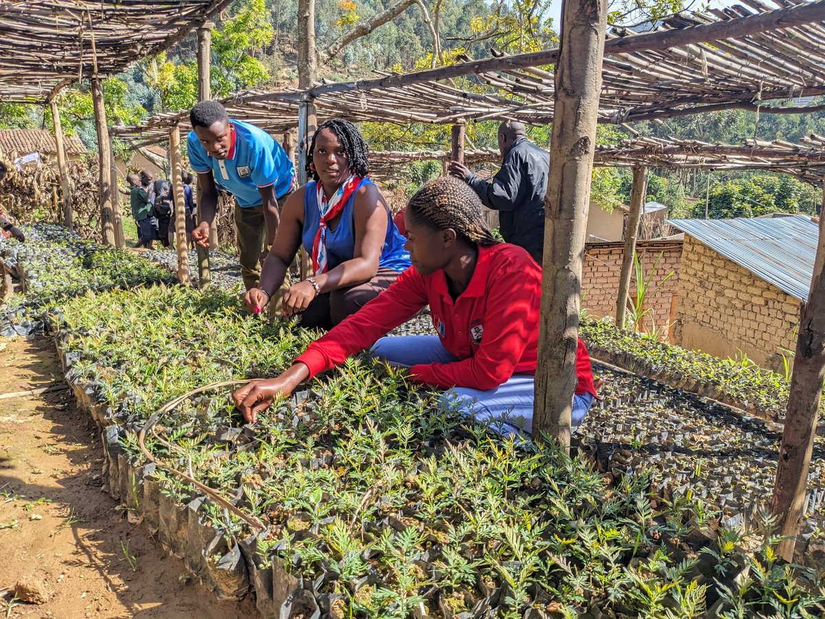 RPF YOUTH LEAGUE NGORORERO DIST tweet media