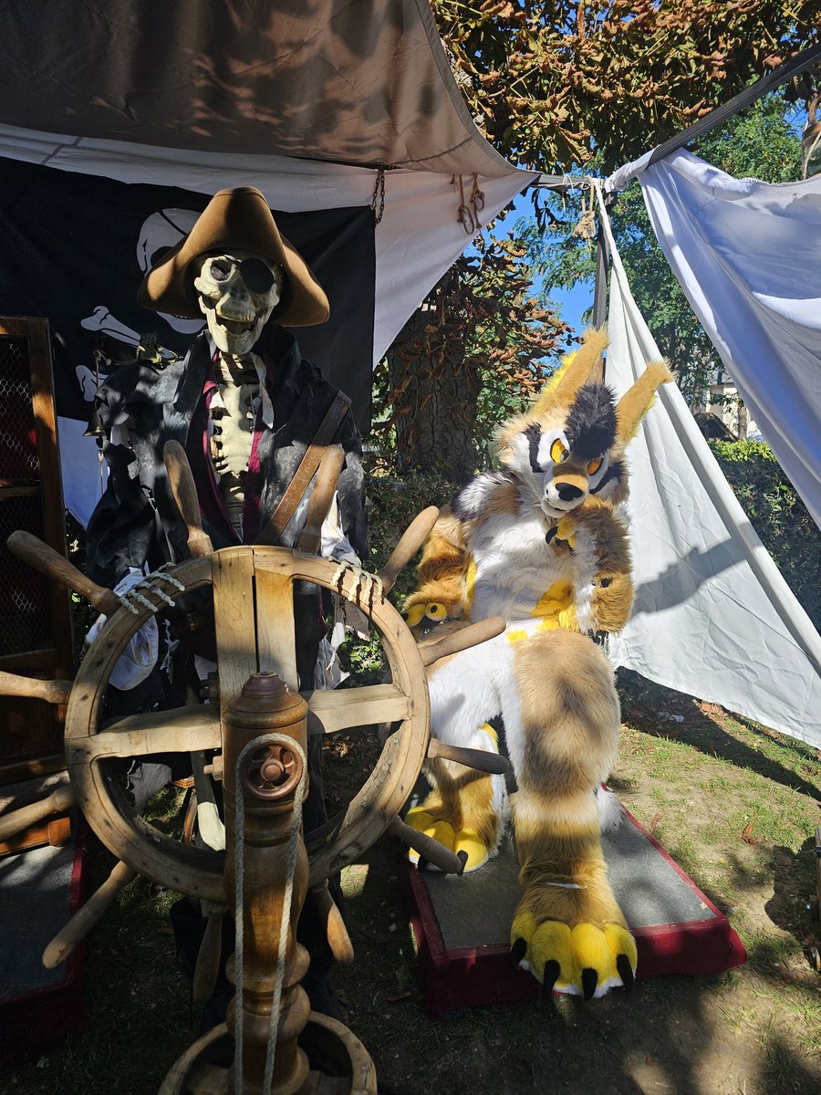 Merci encore pour cette journée <a href="/cidreetdragon/">Cidre et Dragon</a> ❤️

📷 Komet