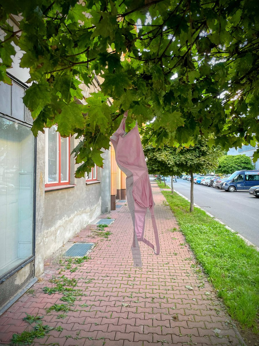 V Pardubicích prostě umíme žít. 😎
“Pod prdou, nad prdou, před prdou, za prdou nikdo nesmí stát, nebo nebudu hrát …”
#pardubice #zezivota