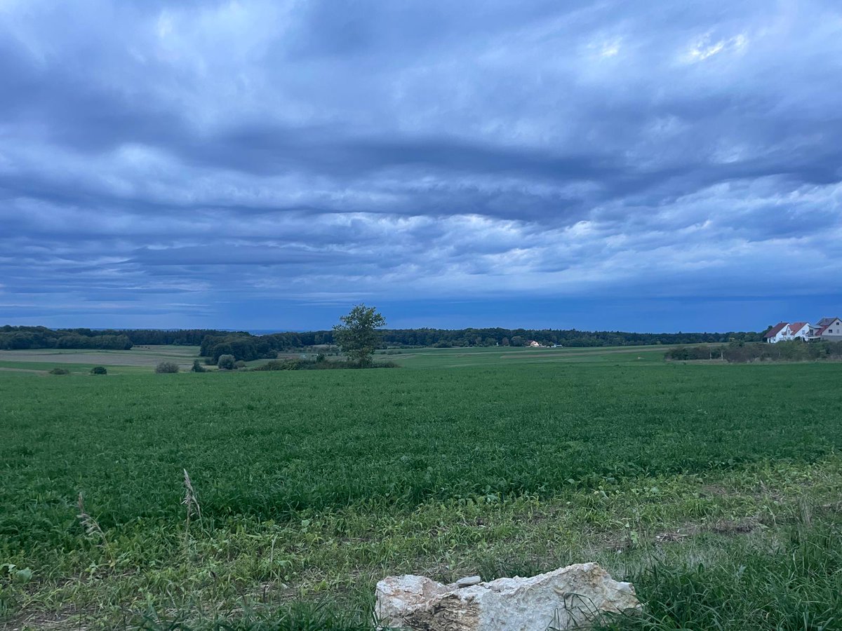 Da kommt der Herbst! 😰