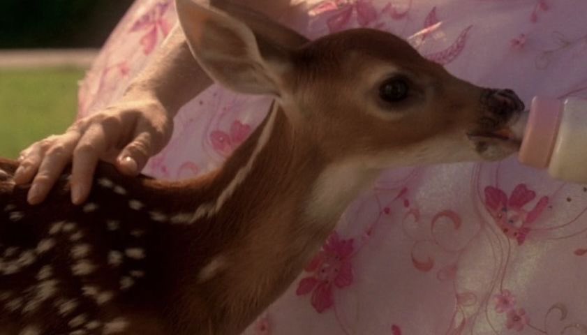 𝒥 (@suaverotic) on Twitter photo 