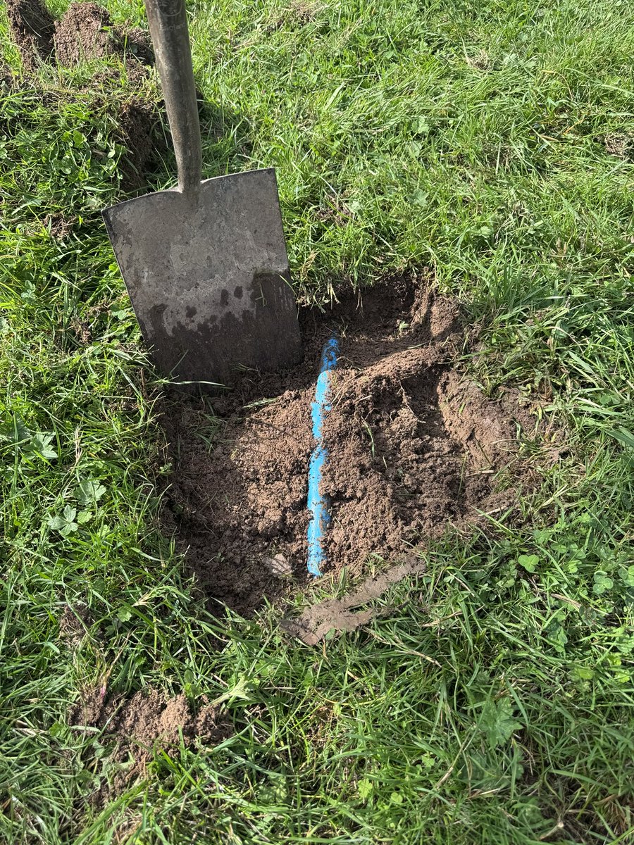 Ian Frizzle tweet media