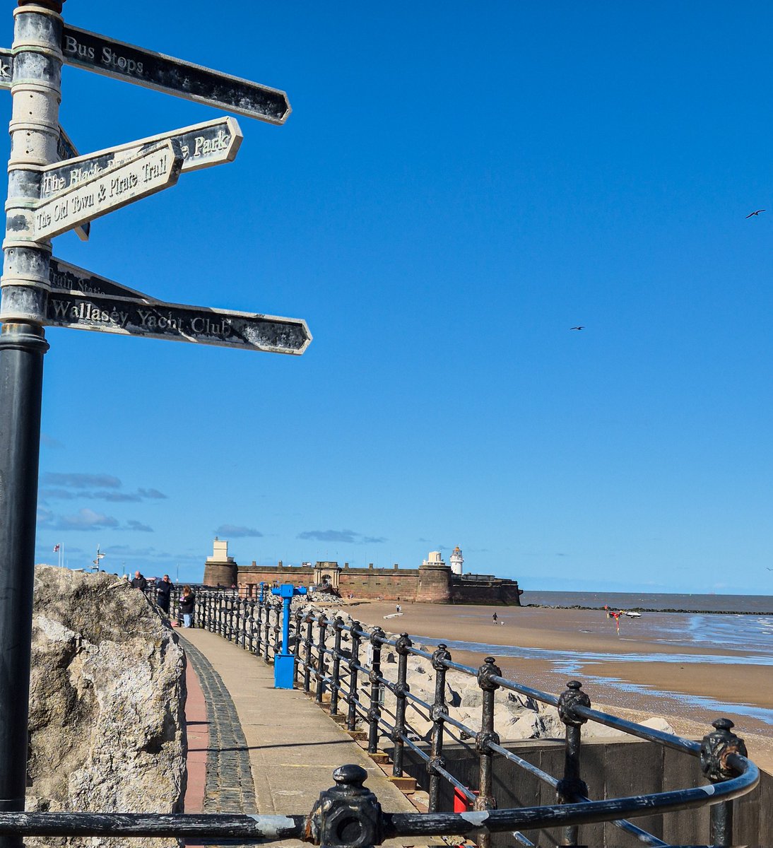 Little wonder down Eggremont Promenade