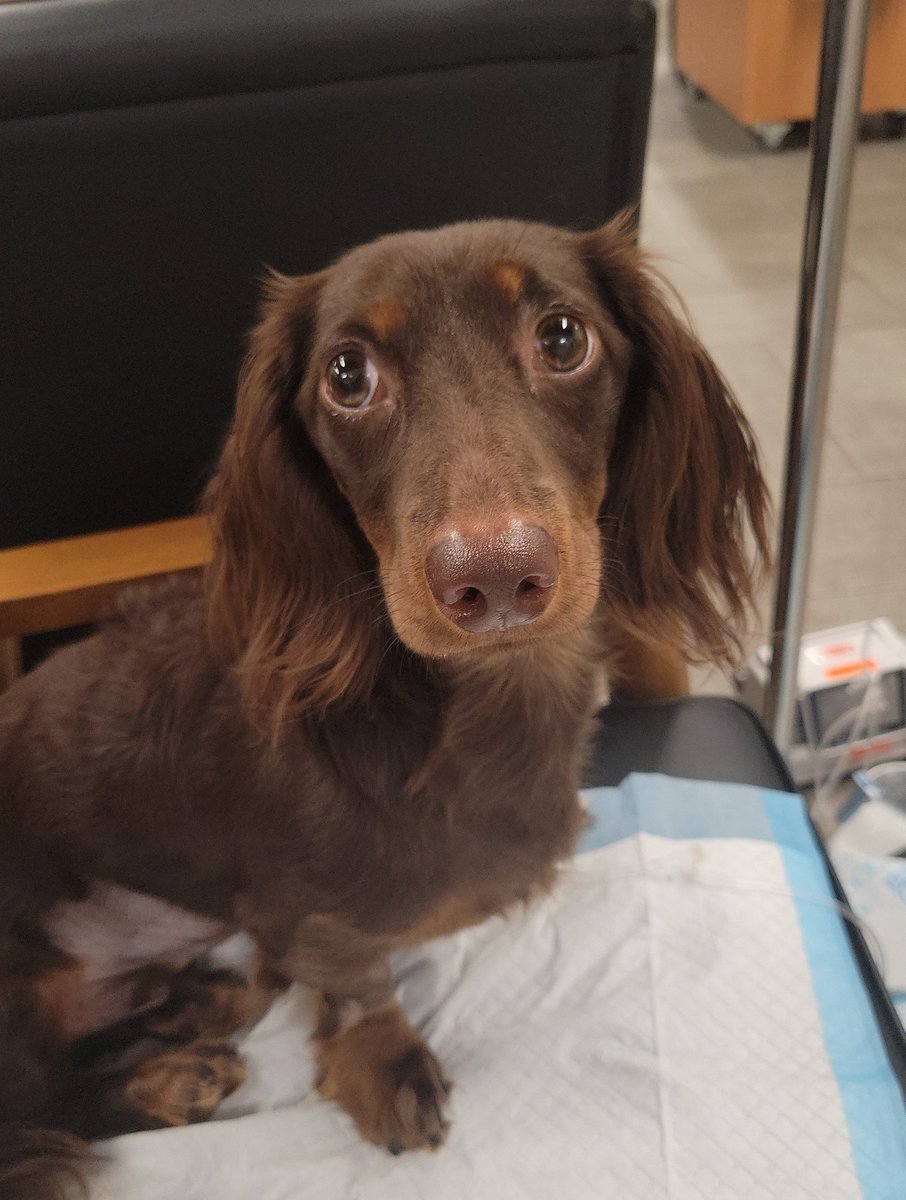 🌿Flumε tweet media