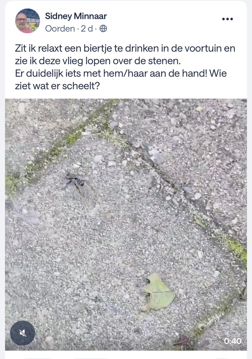 In de buurtapp zijn er ondertussen grote zorgen om een #vlieg.