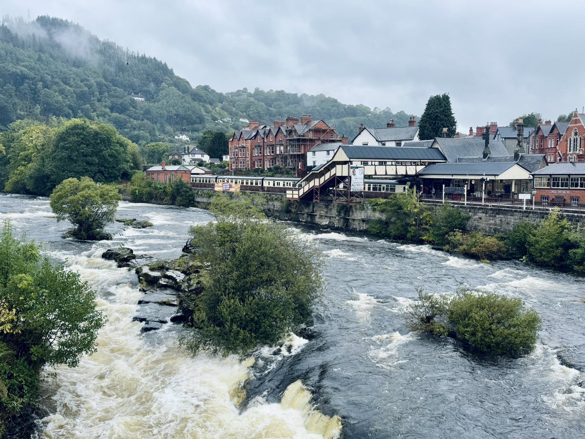 Paul Linnet tweet media