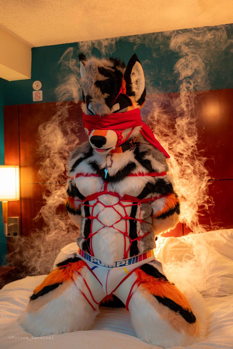 Hffmmgh…a little tied up here, I’d really appreciate it if someone can release me, or at least just get the key on my collar…anyone??…
🪢: <a href="/ShinazaS/">Shin</a> <a href="/ChatahSpots/">Ｍｉｇｏ💢🔜AFC🇺🇲,SK🇰🇷,Infurnity🇹🇼,Kemocon🇯🇵</a> <a href="/Future_Terminal/">Future_Terminal 🔜 AFC</a> 
🪡: <a href="/kigurumikagetsu/">きぐるみ花月/Kigurumi Kagetsu</a>