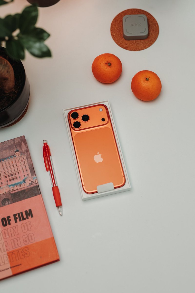 Matt Robb tweet media