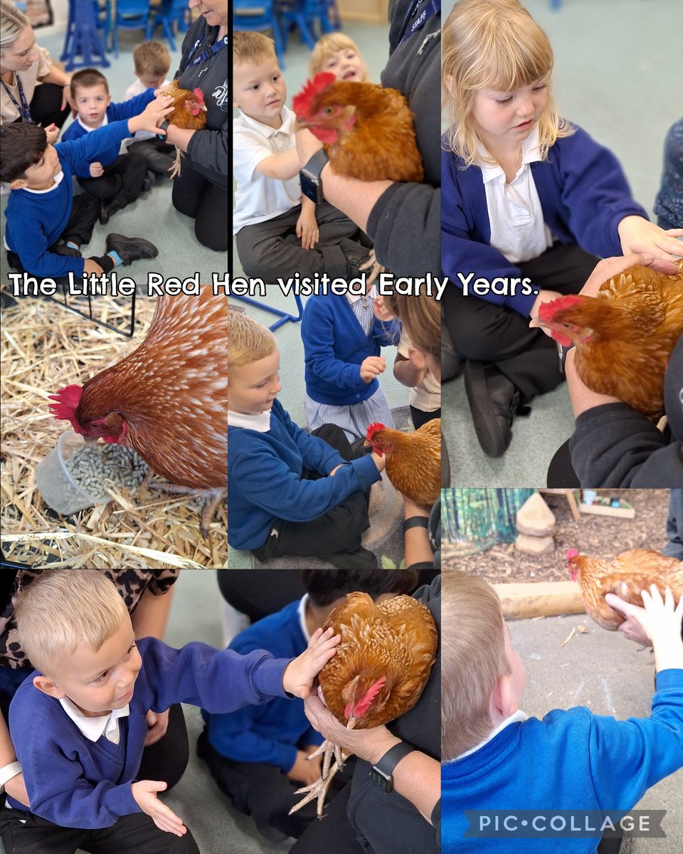 HMSGrimsbyfs2's tweet image. On Friday, the children in the Early Years had a special visitor. It was a real little red hen called Hettie!
@ClareHa51528544 #EYFSFun @HMSGrimsbyfs2 @DeltaStrand
@Talk4Writing @PieCorbett @DeltaTrust_Org