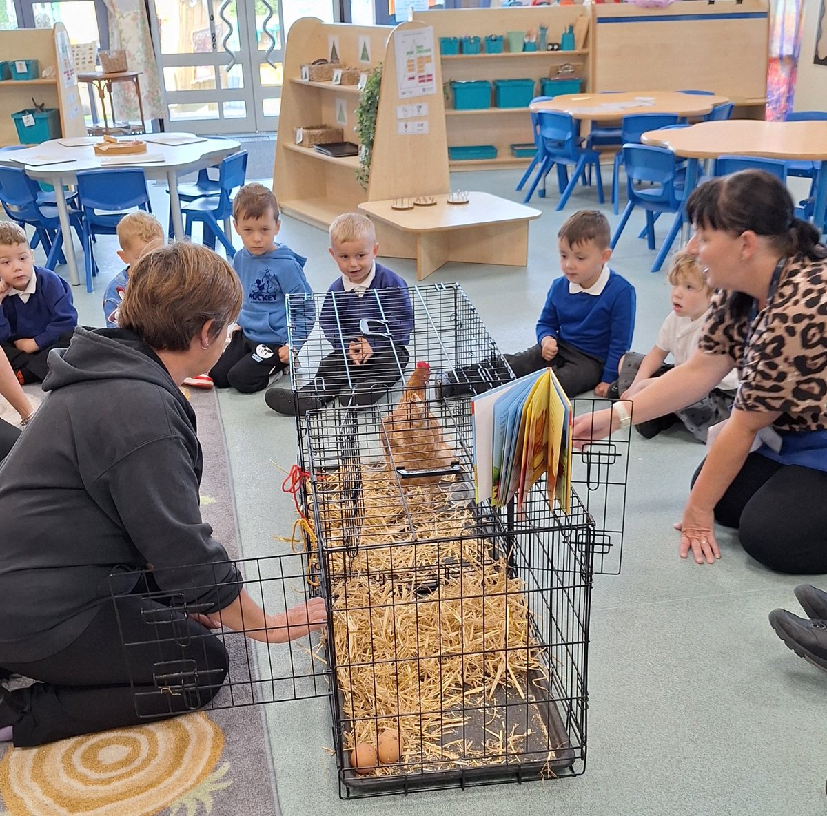 HMSGrimsbyfs2's tweet image. On Friday, the children in the Early Years had a special visitor. It was a real little red hen called Hettie!
@ClareHa51528544 #EYFSFun @HMSGrimsbyfs2 @DeltaStrand
@Talk4Writing @PieCorbett @DeltaTrust_Org