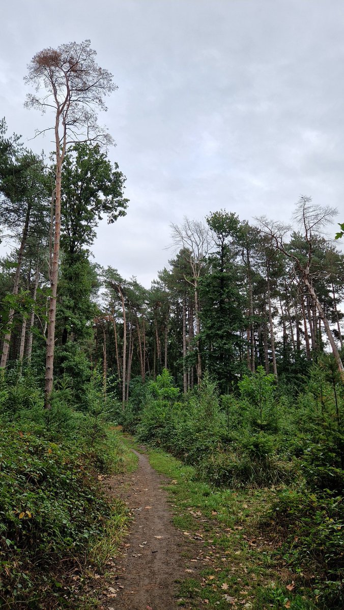 #vrtweer #kortenberg