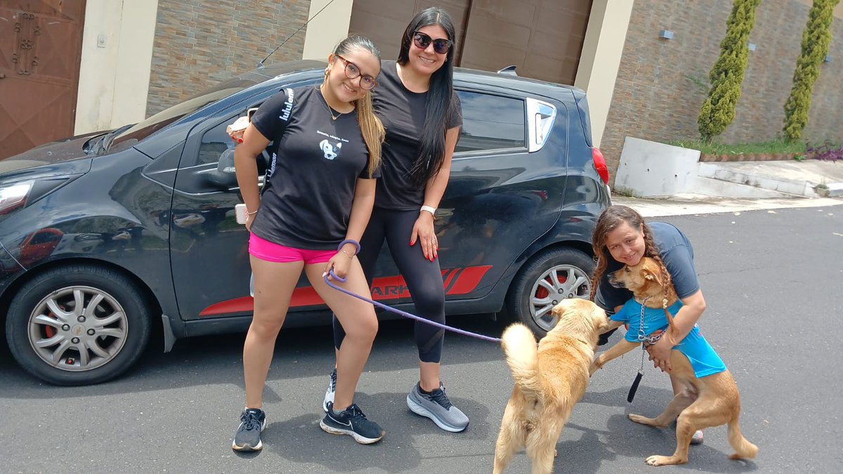 guatexanimales2's tweet image. Gracias por su apoyo a los voluntarios que estuvieron hoy en el refugio y llevaron donaciones; apoyaron con pasear y dejar bien limpio todas las áreas. Mil gracias por llevarles momentos de 😍 amor y felicidad a todos nuestros rescatados.
#voluntarios 
#apoya🙋