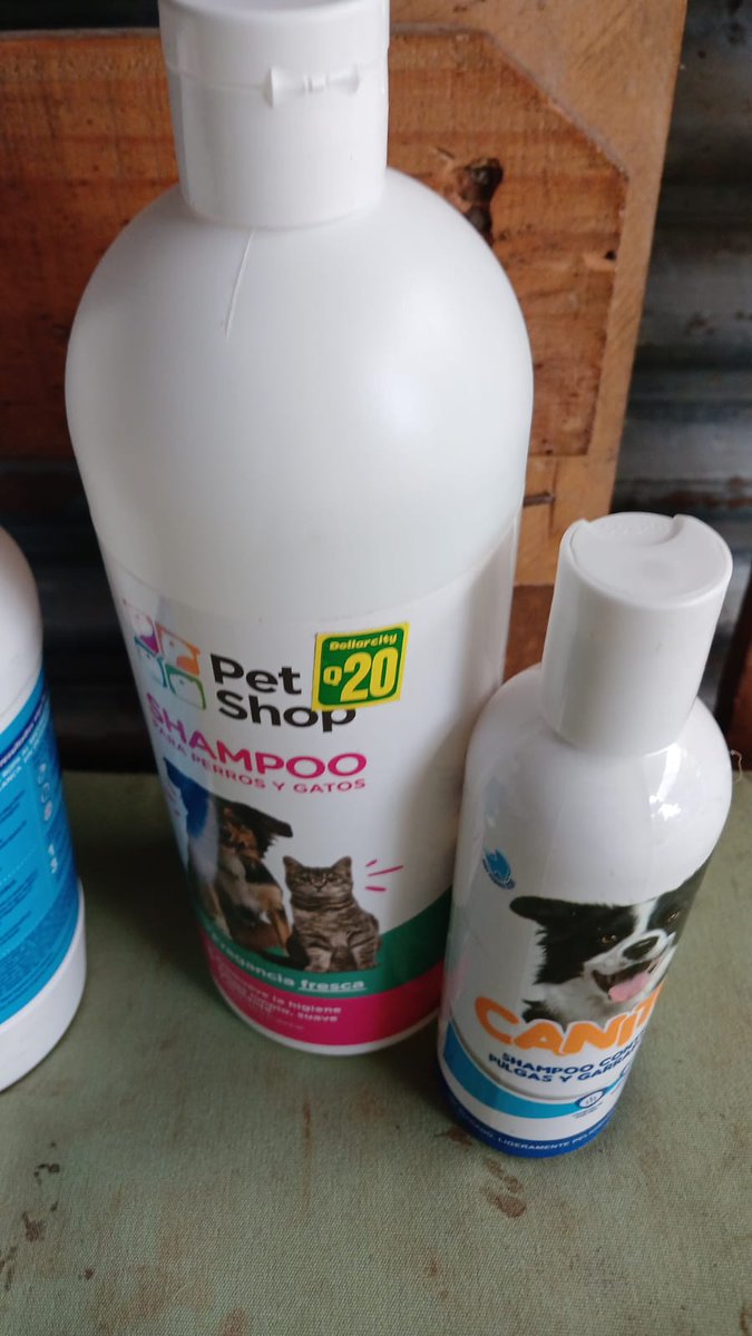 guatexanimales2's tweet image. Gracias por su apoyo a los voluntarios que estuvieron hoy en el refugio y llevaron donaciones; apoyaron con pasear y dejar bien limpio todas las áreas. Mil gracias por llevarles momentos de 😍 amor y felicidad a todos nuestros rescatados.
#voluntarios 
#apoya🙋