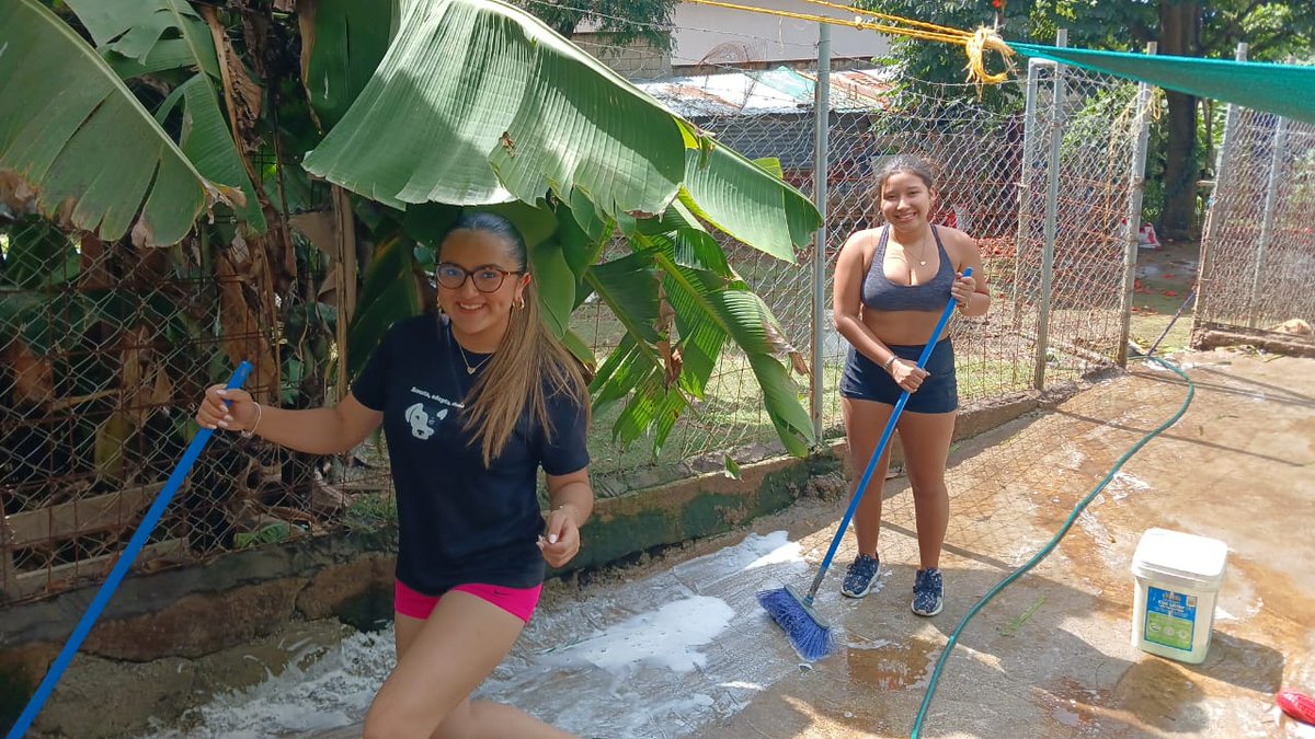 guatexanimales2's tweet image. Gracias por su apoyo a los voluntarios que estuvieron hoy en el refugio y llevaron donaciones; apoyaron con pasear y dejar bien limpio todas las áreas. Mil gracias por llevarles momentos de 😍 amor y felicidad a todos nuestros rescatados.
#voluntarios 
#apoya🙋